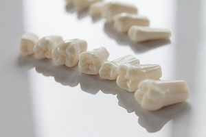 Запасные зубы к фантомной челюсти (JG-Y1)